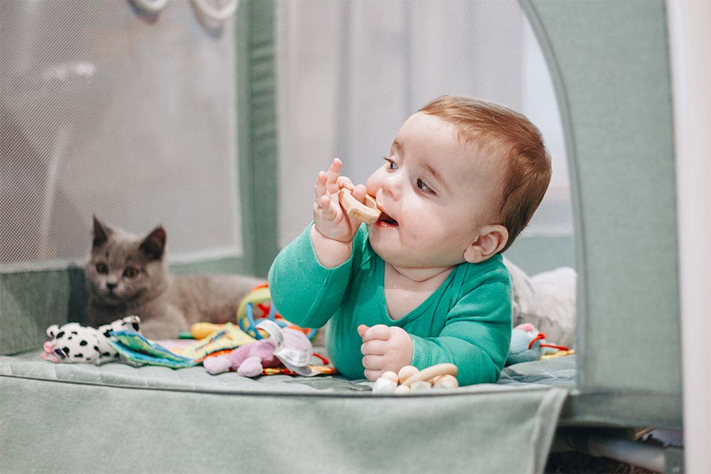 Манеж и мифы: разговор со скептиком 6