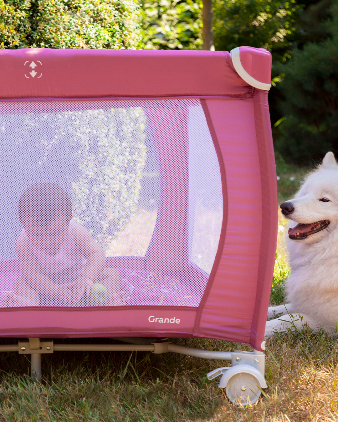 Как воспитать счастливую и успешную принцессу, или Папа может… 6